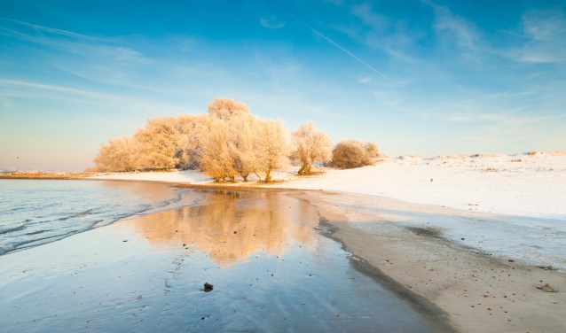 Winter aan de Waal