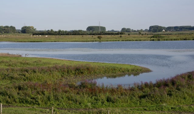 Bloemrijke oevers aan de Jezuïetenwaay (foto: Marijke de Both)