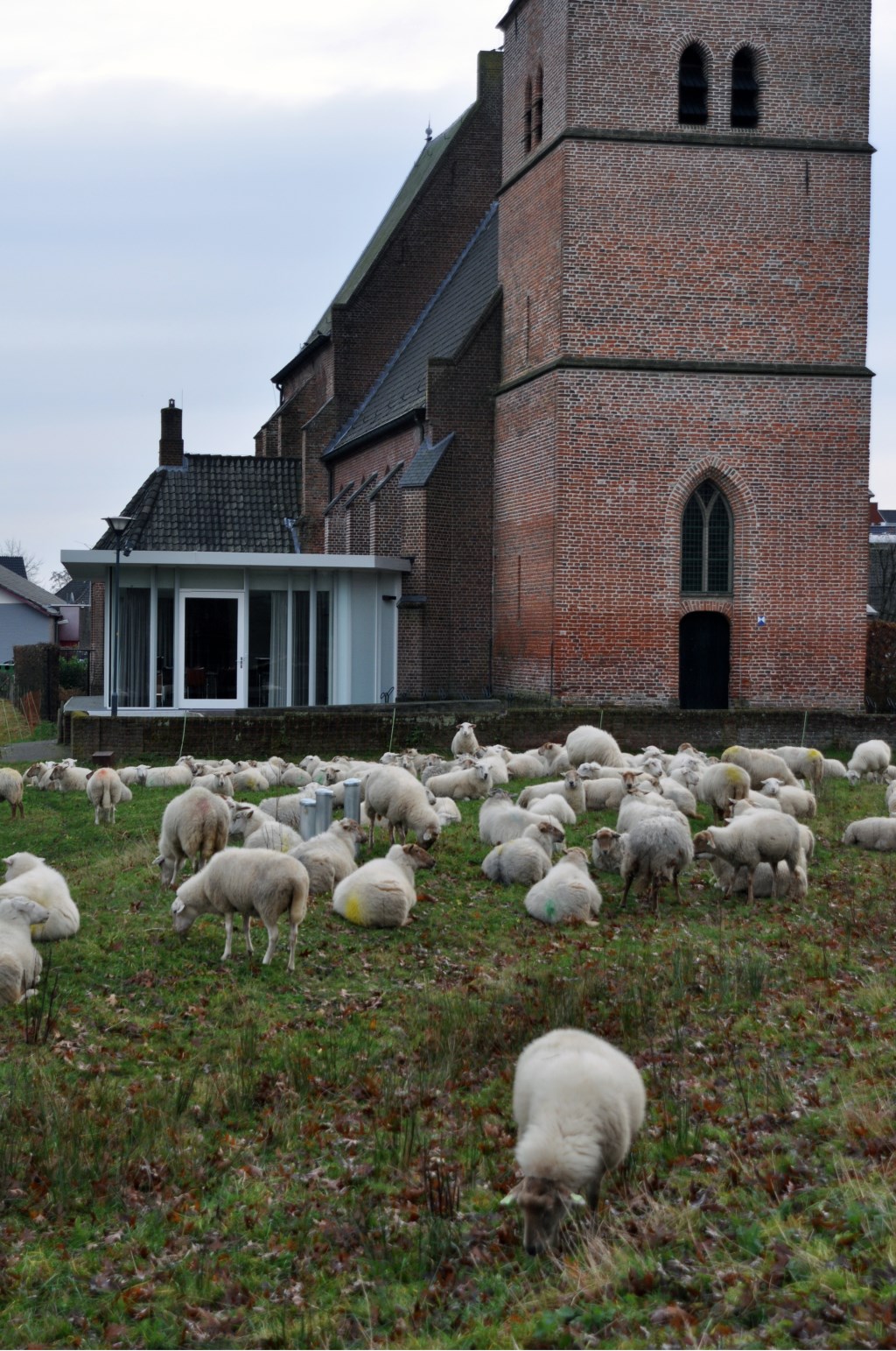 (Foto: Jannie Schaapman)