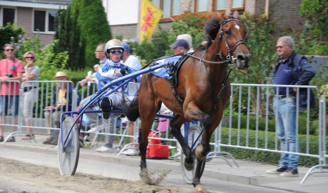 Het paard Gently Boko. Hier wordt er gereden door Danny Brouwer. (foto: Jan Willemsen )