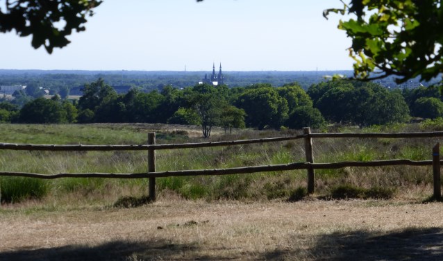 Mookerheide. (Foto: Peter Pouwels)