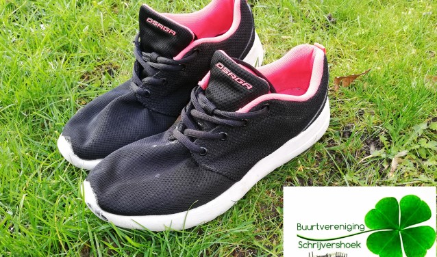 sportschoenen ter illustratie voor wandel je fit