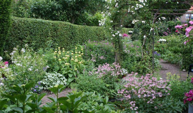 Deelnemende tuin. (foto: Rob Halsema)