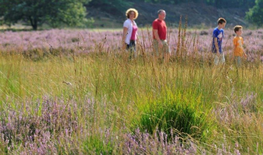 Heumensoord. (foto: Martin van Lokven)