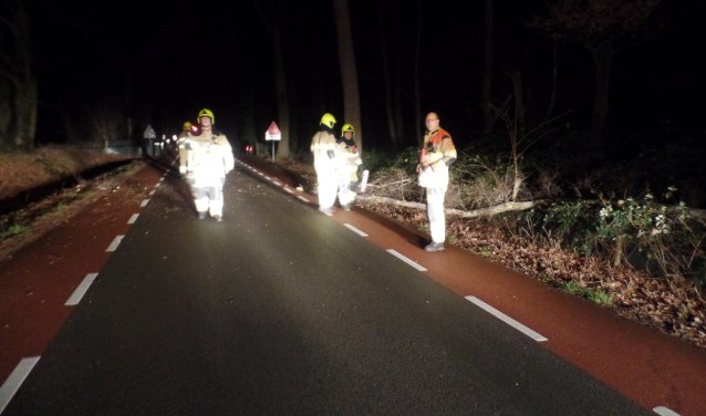 (foto: Joop Verstraaten)