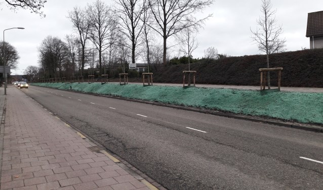 (foto: Joop Verstraaten)