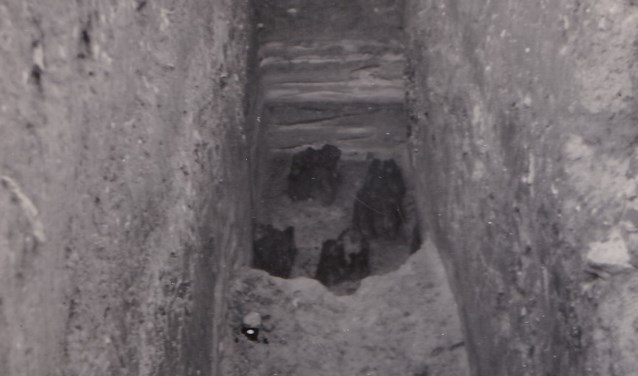 Romeinse heipalen, een foto gemaakt in 1947 door dominee Plooij.