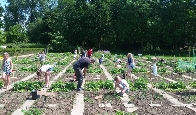 Kinderen in de moestuin. (foto: Jan de Moor)