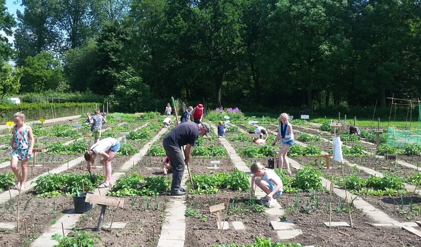 Kinderen in de moestuin. (foto: Jan de Moor)