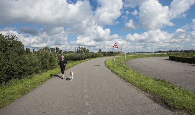 Waaldijk