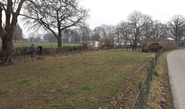 Voorbereiding nieuwe aanplant. (foto: Hans van Berlo)