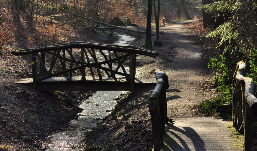 Lange dagwandeling Oosterbeek