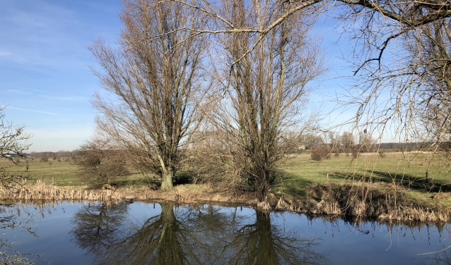 Natuurgebied Erfkamerlingschap. (foto: Hans Smit)