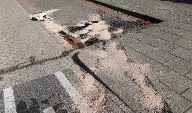 (foto: Joop Verstraaten)