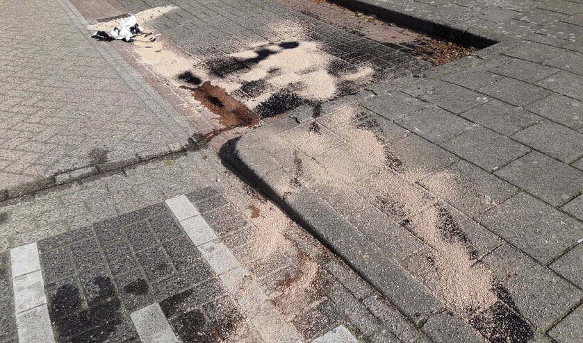 (foto: Joop Verstraaten)
