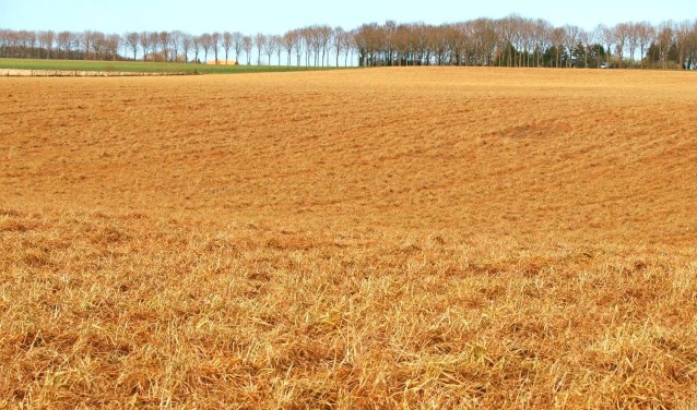 Akker in de lente. (foto: Wouter van Eck)