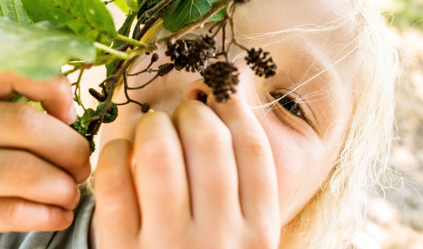 Beleef de lente. (foto: Gerke van de Hoef)