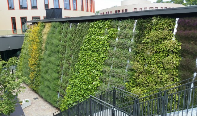 Een heel grote verticale tuin. (foto: Vertus)