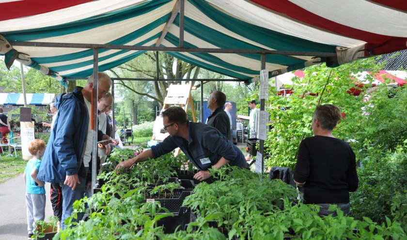 Plantjeskraam