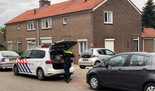 (foto: Harm van den Brink)