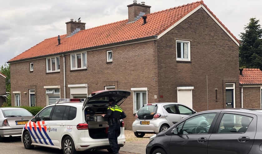 (foto: Harm van den Brink)