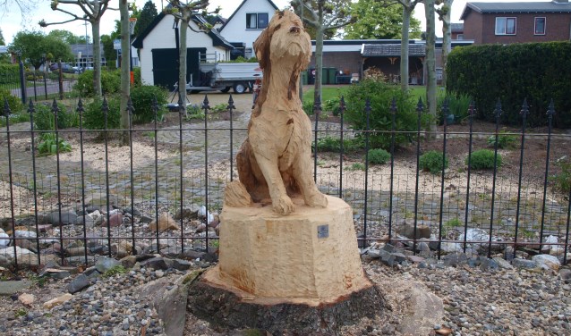 Eerst boom daarna hond. (foto: Frans Willemsen)