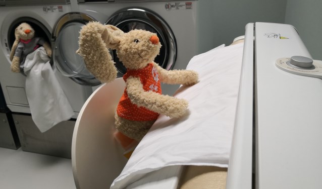 Een konijn, die de was doet. (foto: A.Neyndorff)