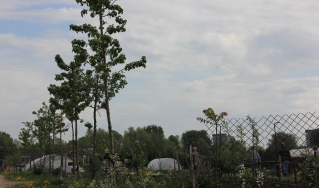 Biodiversiteit op SLB Mooieweg