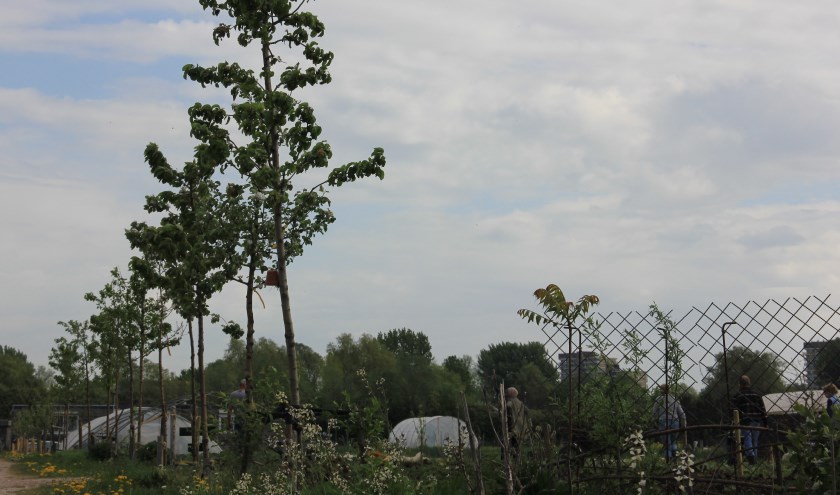 Biodiversiteit op SLB Mooieweg
