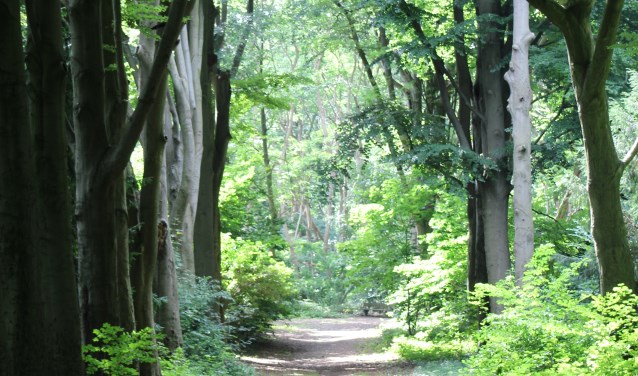 Eltenberg. (foto: Marcel Lap)
