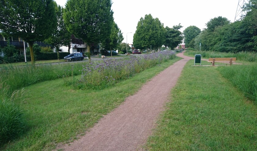 Wardstraat in Bemmel. (foto: Ewald Nijenhuis SLN)