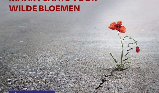 Logo van de collecte 2019. (foto: Simone Kok)