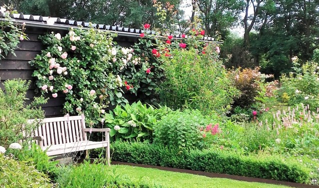 Tuin in Kesteren.