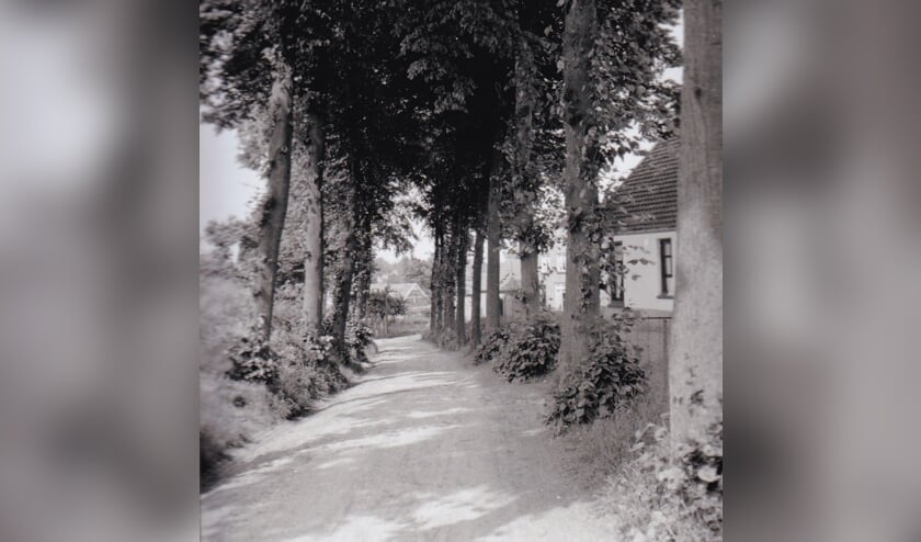 (foto: Archief Gerrie Driessen)