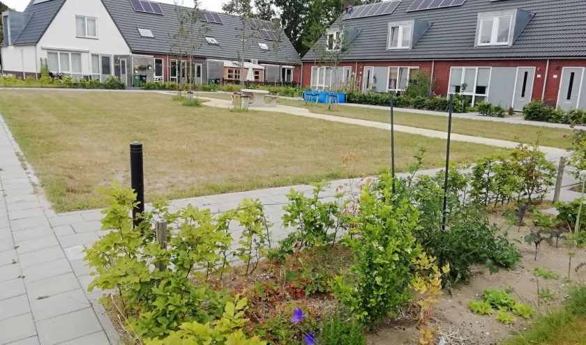Kalfsheuvel binnentuin. (foto: Jo Coerwinkel)