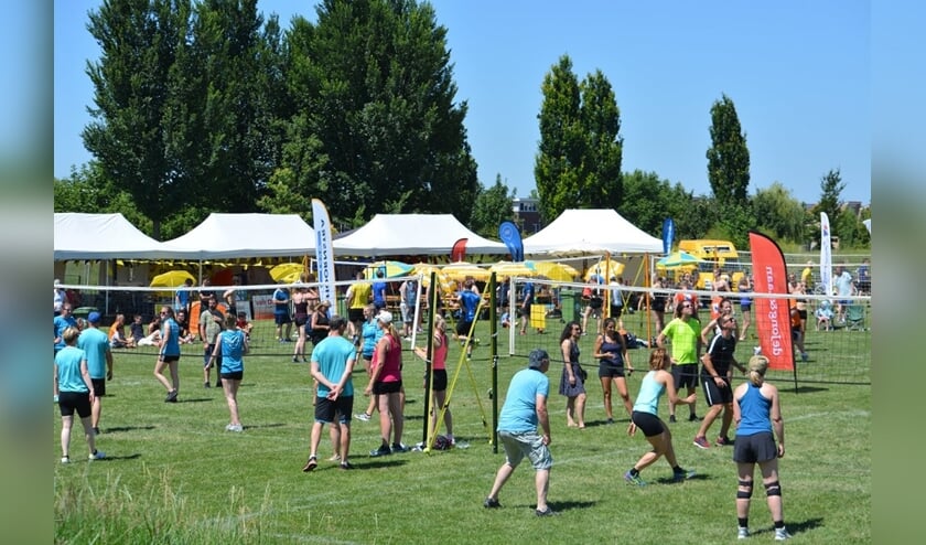 Overzichtsfoto van het toernooi. (foto: Ton Heevel)