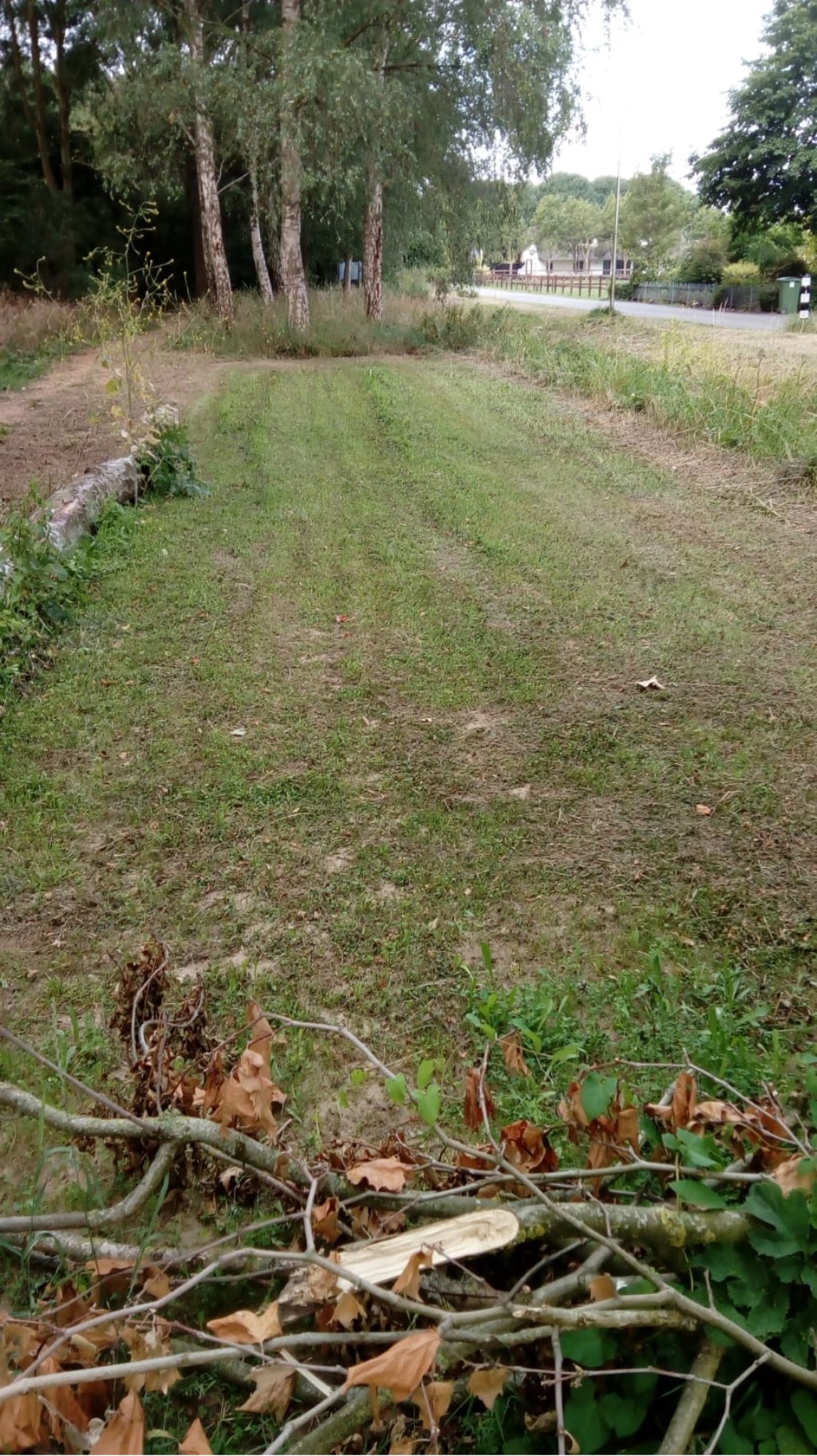Het kortegemaaide bloemenveld in het Haalders Bos