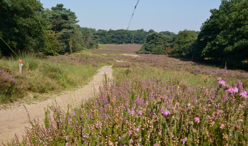 Landgoed Warnsborn